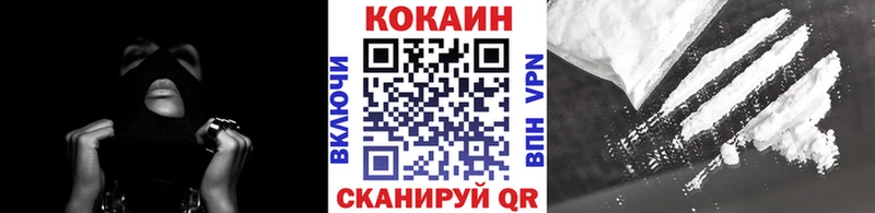 shop как зайти  Губаха  Cocaine Fish Scale 