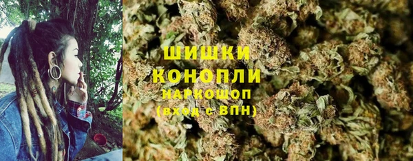 PSILOCYBIN Алексеевка