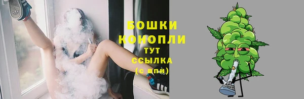 сатива Армянск
