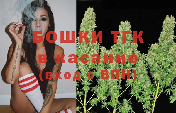 сатива Армянск