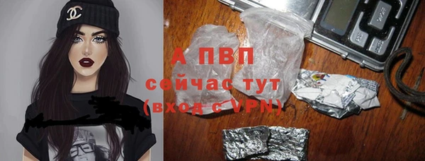 сатива Армянск