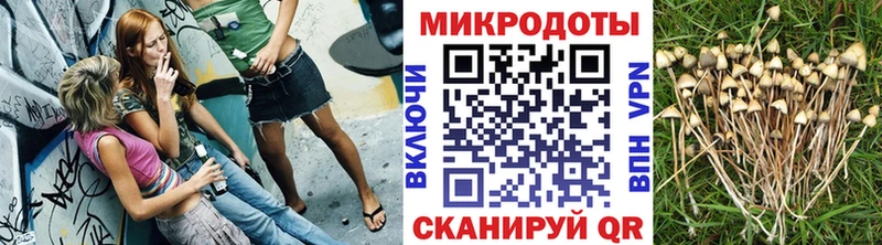ОМГ ОМГ вход  Губаха  Галлюциногенные грибы Magic Shrooms  где продают  